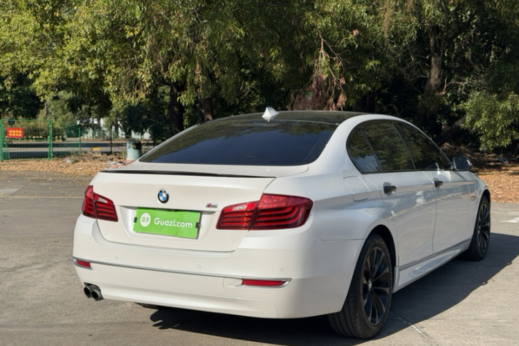 BMW 5 Series 2014 car image #7