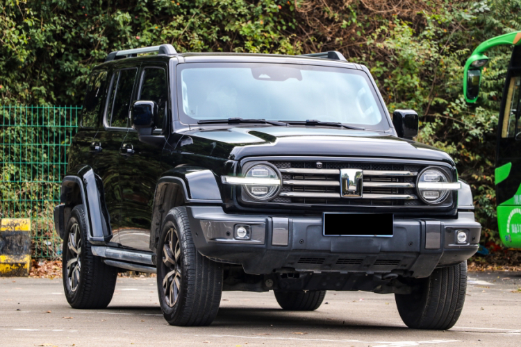 Tank 300 2023 immagine di auto #7