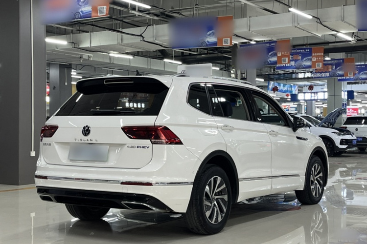 Volkswagen Tiguan L New Energy 2021 car image #7