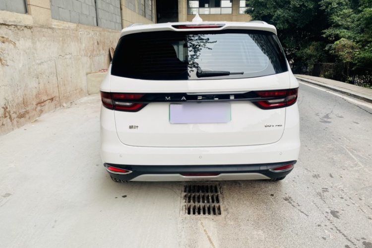 睿蓝汽车 枫叶80v PRO 2023 汽车图片 #7