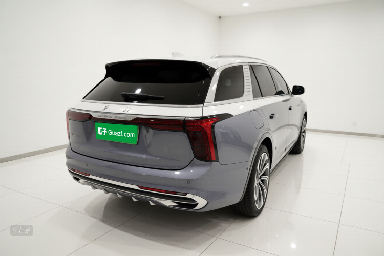 HongQi E-HS9 2022 car image #7