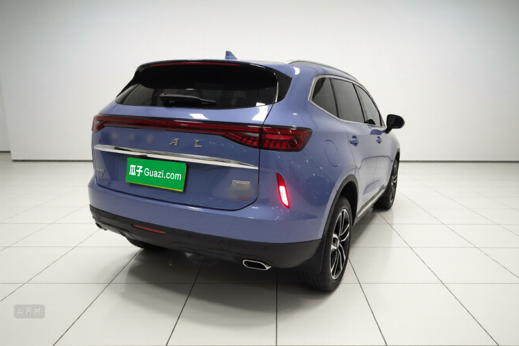 Haval H6 2021 immagine di auto #7