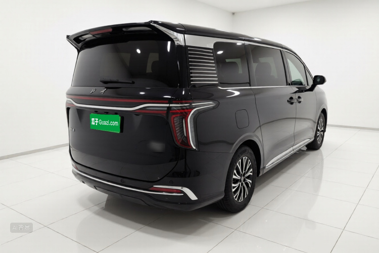 HongQi HQ9 PHEV 2024 #7 HongQi HQ9 PHEV 2024 car image #7