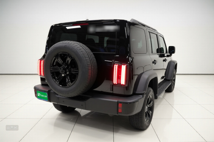 Tank 300 2025 car image #7