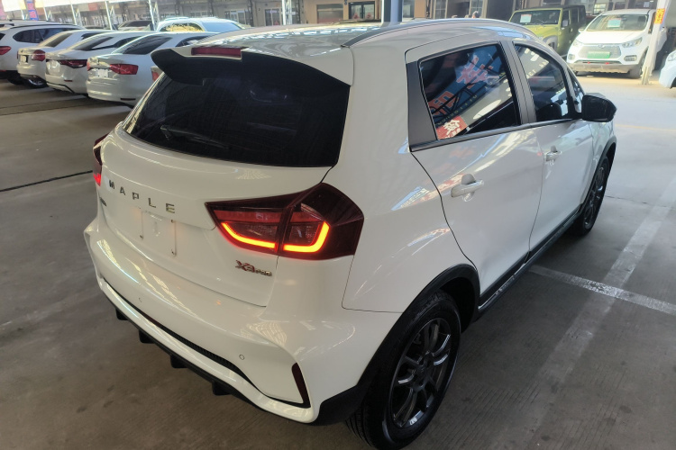 睿蓝汽车 睿蓝汽车X3 PRO 2023 汽车图片 #7