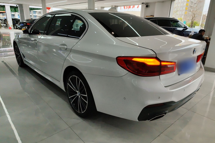 BMW 5 Series 2020 car image #7