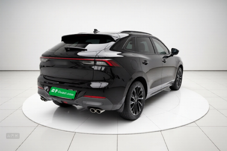 T5 EVO 2021 car image #7