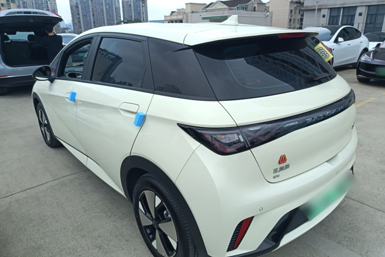 BYD Dolphin 2024 car image #7