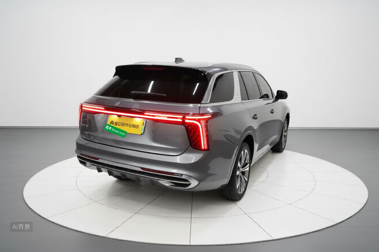 HongQi E-HS9 2023 car image #7