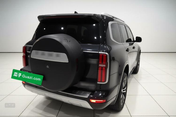 Tank 500 2022 immagine di auto #7