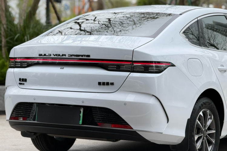 BYD Destroyer 05 2024 imagen de coche #7