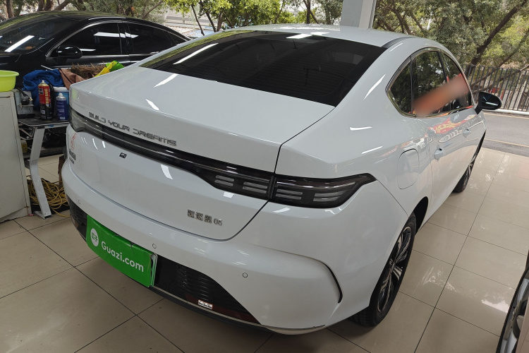 BYD Destroyer 05 2023 imagen de coche #7