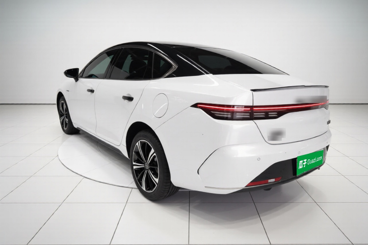 BYD Destroyer 05 2023 car image #7