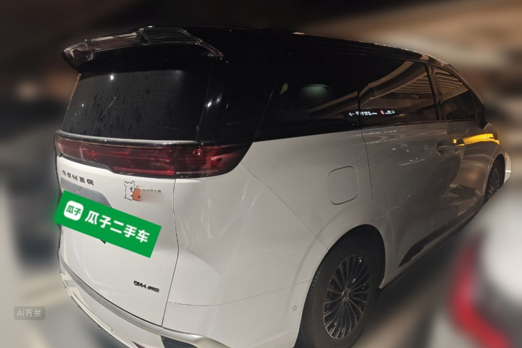 Denza D9 2023 imagen de coche #7