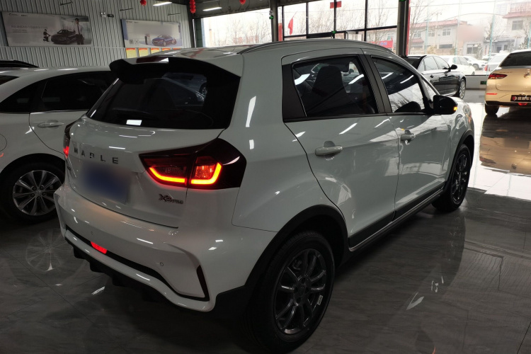 X3 PRO 2023 car image #7