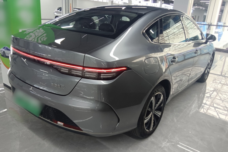 BYD Destroyer 05 2022 imagen de coche #7