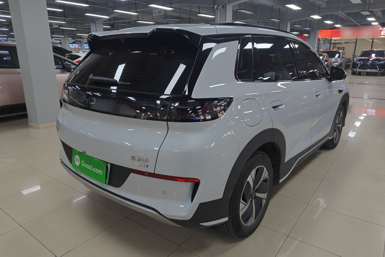 BYD Sea Lion 05 EV 2025 car image #7