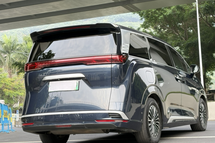 Denza D9 2023 imagen de coche #7