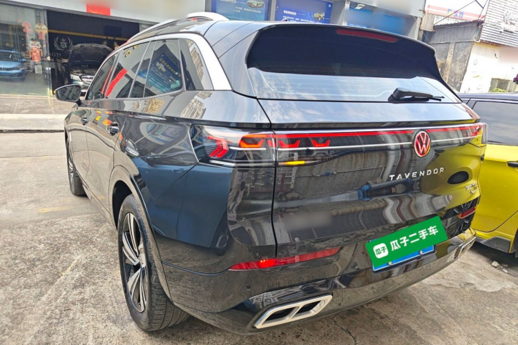 Volkswagen Tavendor 2024 car image #7