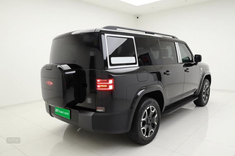 FangChengBao Tiger 7 2025 immagine di auto #7