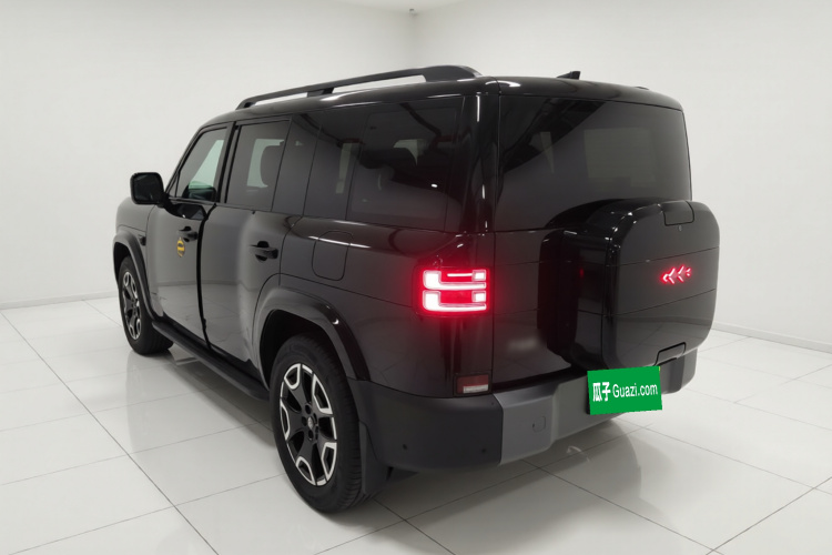 FangChengBao Tiger 7 2025 изображение автомобиля #7