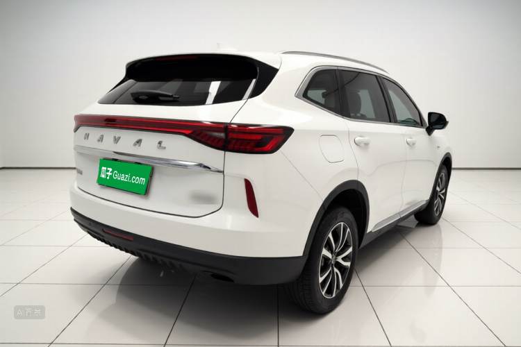 Haval H6 2023 immagine di auto #7