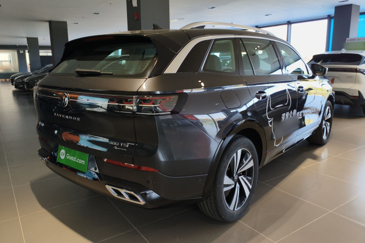 Volkswagen Tavendor 2024 immagine di auto #7