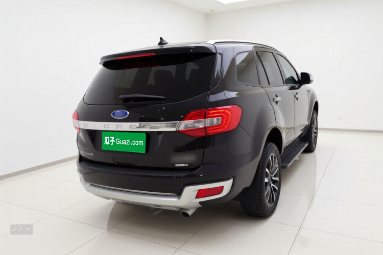 Ford Everest 2019 car image #7