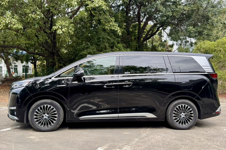 Denza D9 2025 изображение автомобиля #7