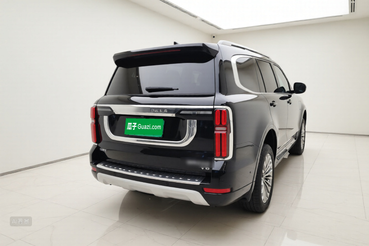 Tank 500 2023 immagine di auto #7