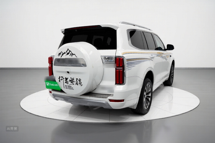 坦克 坦克500 2022 汽车图片 #7