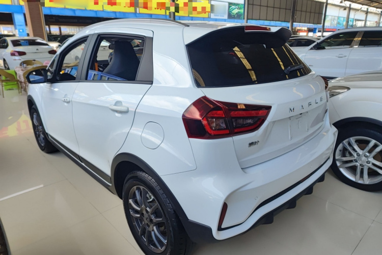 X3 PRO 2023 #7 X3 PRO 2023 car image #7