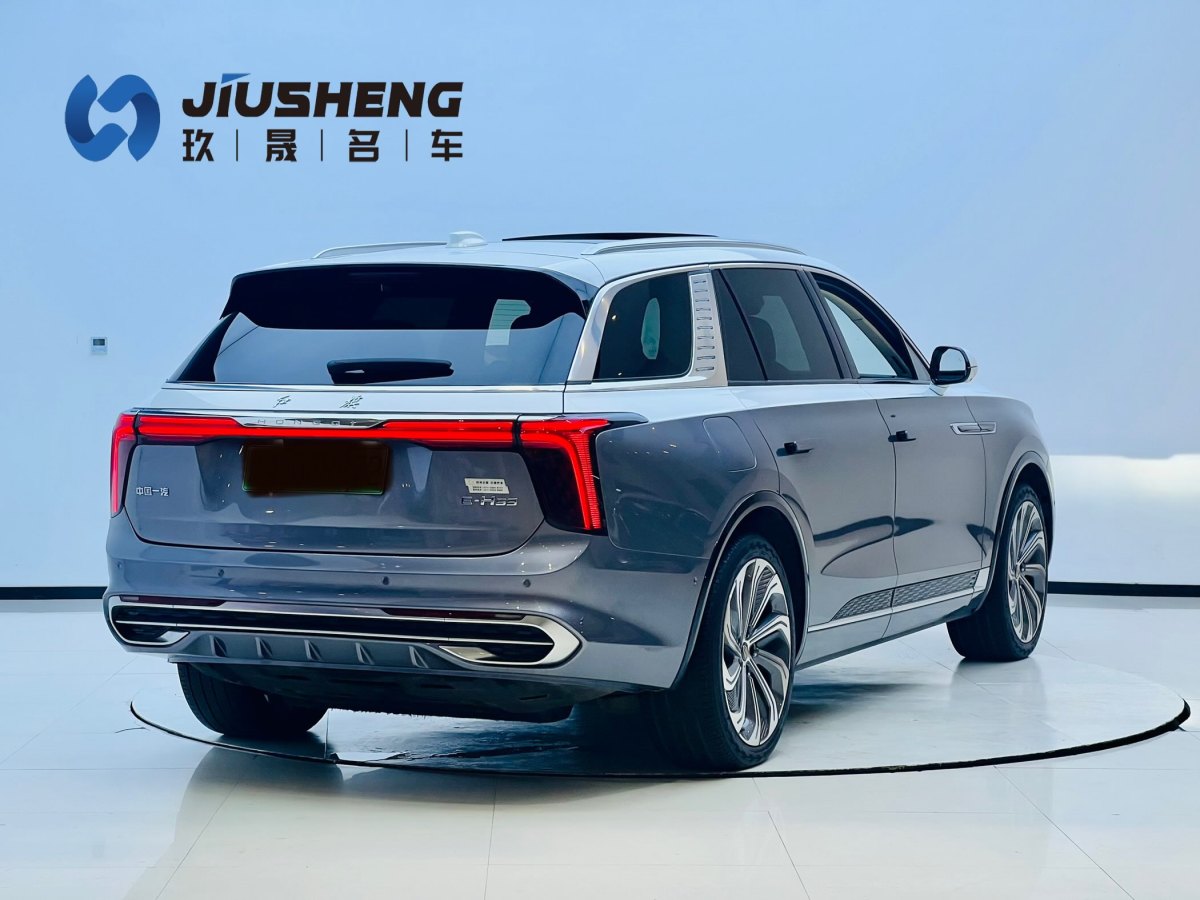 HongQi E-HS9 2022 car image #7