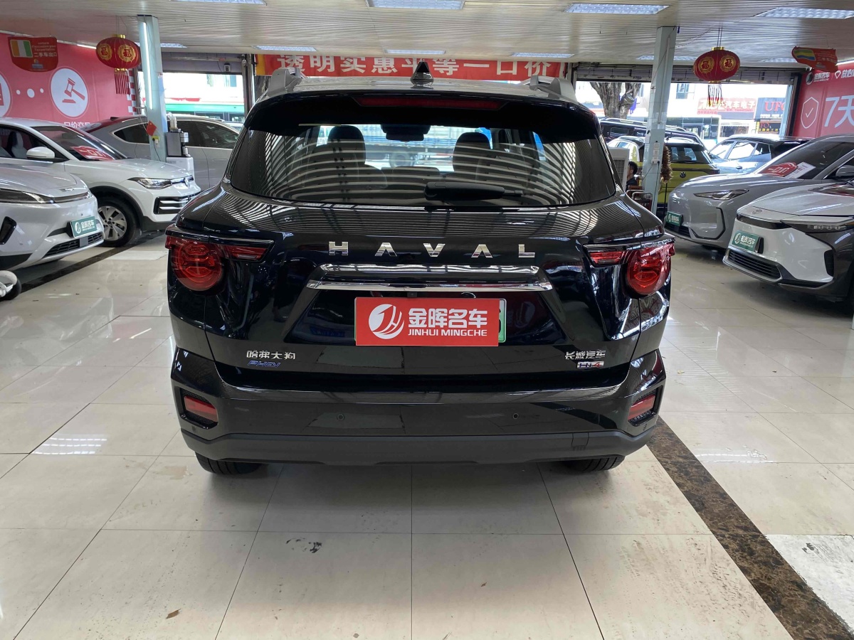 Haval X Dog 2 New Energy 2024 car image #7