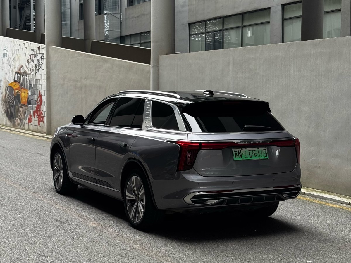 HongQi E-HS9 2021 #7 HongQi E-HS9 2021 immagine di auto #7