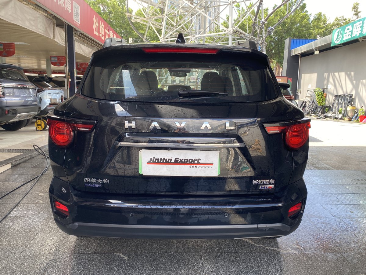 Haval X Dog 2 New Energy 2024 car image #7