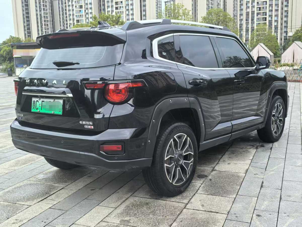 Haval X Dog 2 New Energy 2024 car image #7