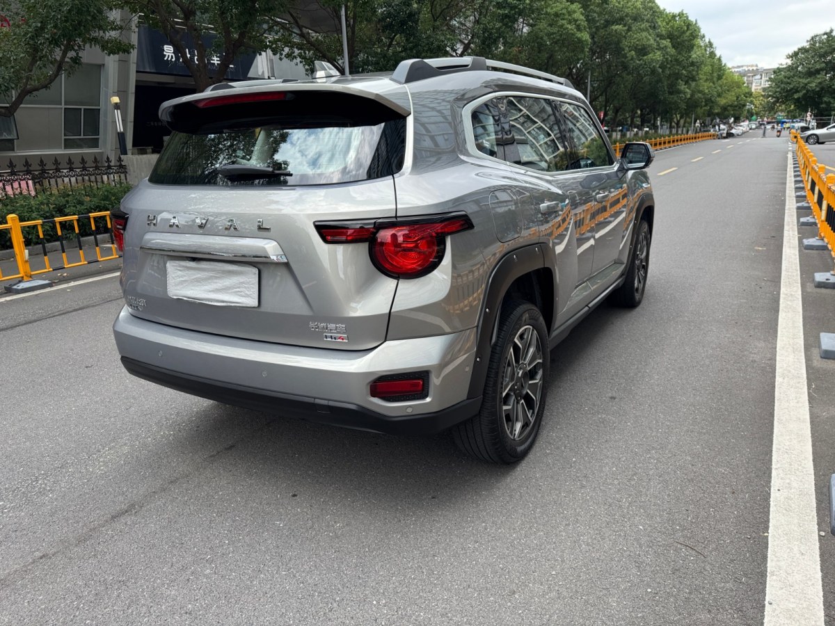 Haval X Dog 2 New Energy 2024 car image #7