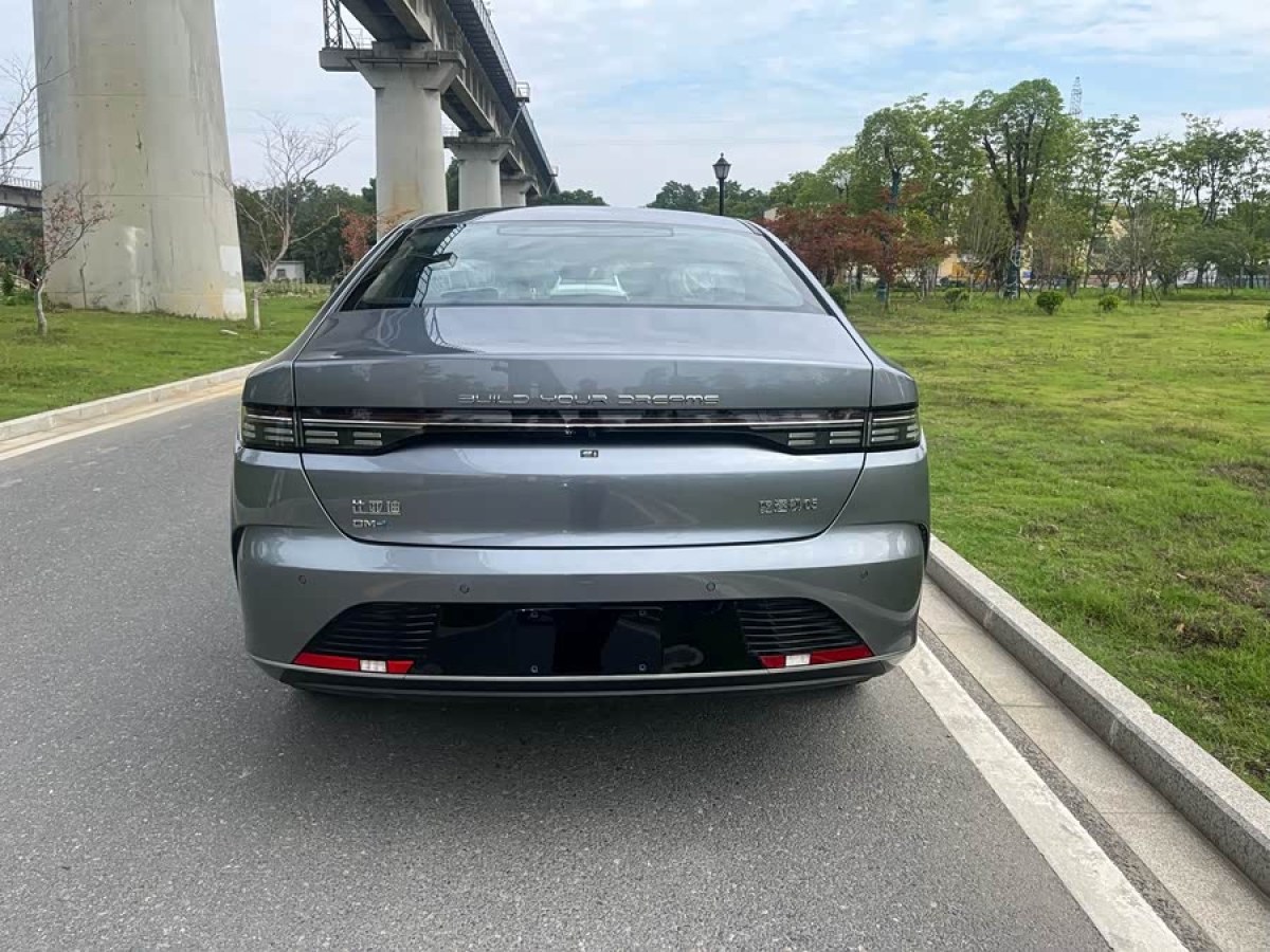 比亚迪 驱逐舰05 2025 汽车图片 #7