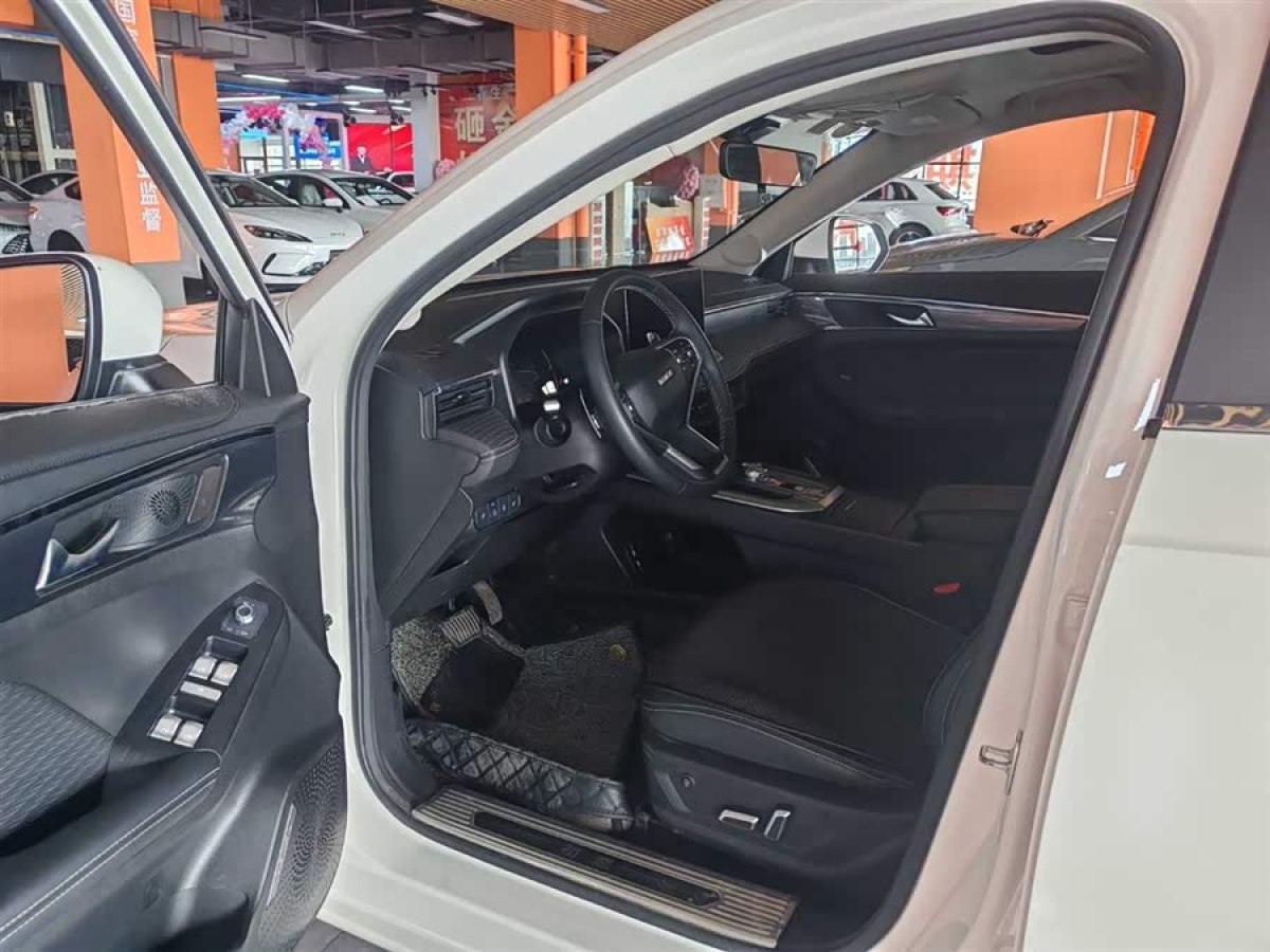 Haval Jolion 2020 car image #7