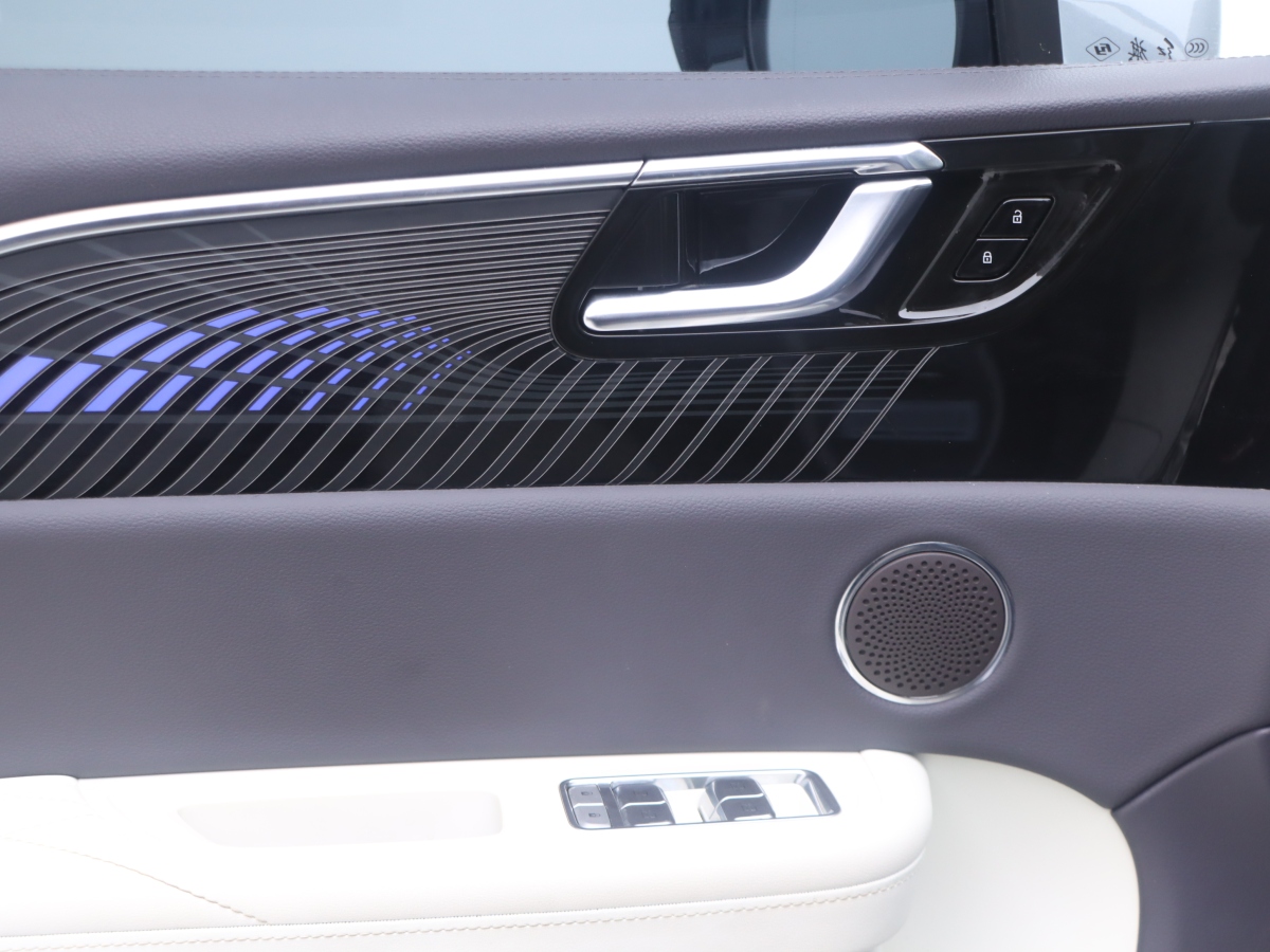 HongQi E-HS9 2023 car image #7