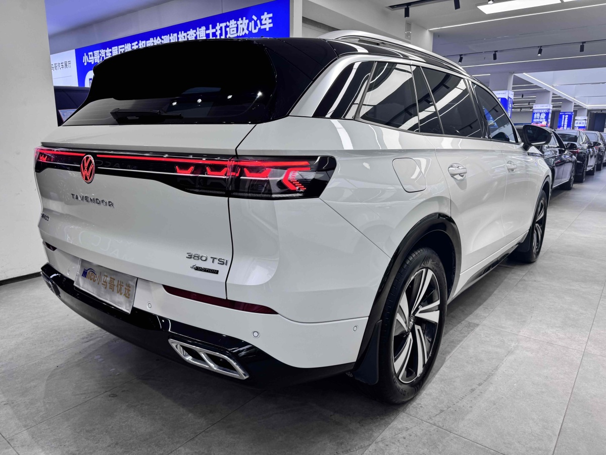 Volkswagen Tavendor 2023 car image #7