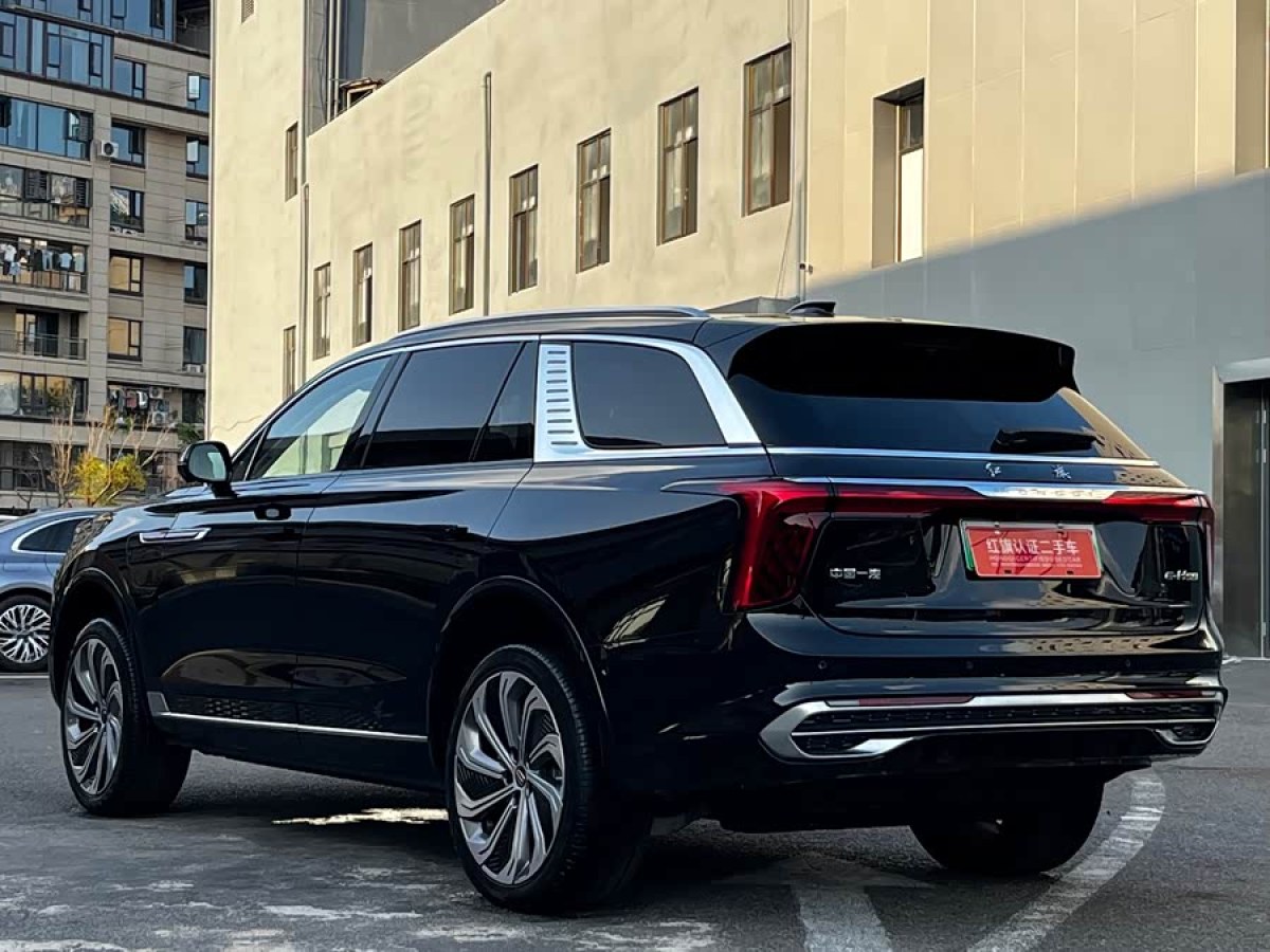 HongQi E-HS9 2025 car image #7