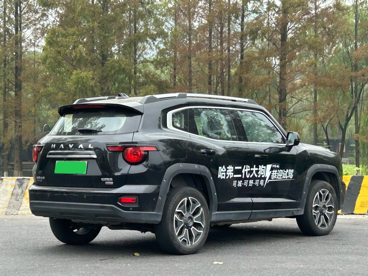 Haval X Dog 2 New Energy 2024 car image #7