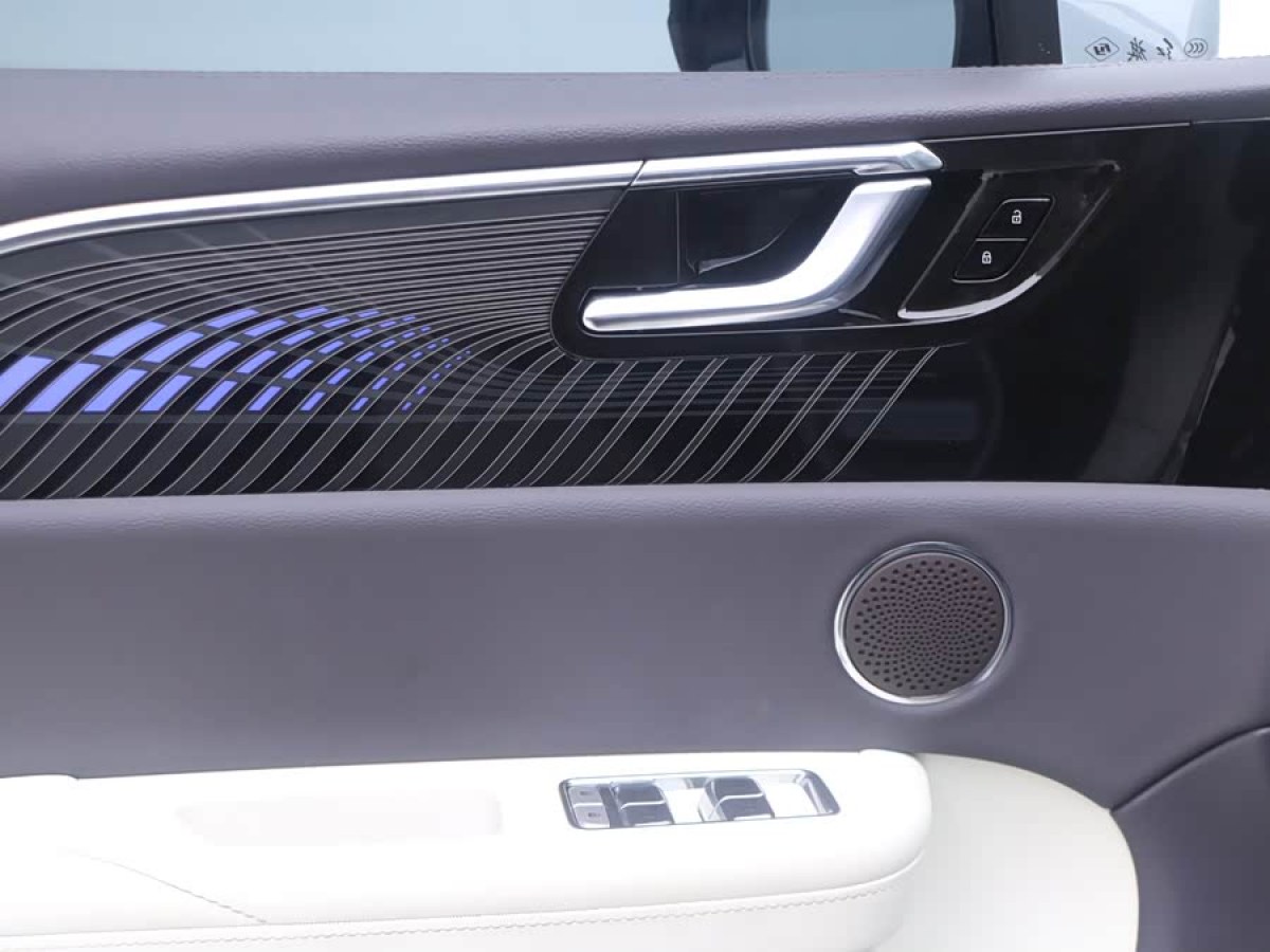 HongQi E-HS9 2023 #7 HongQi E-HS9 2023 car image #7