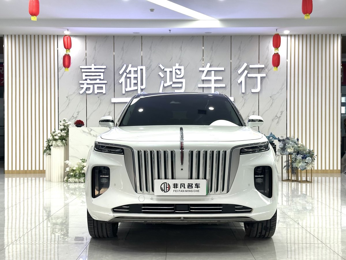 HongQi E-HS9 2021 #7 HongQi E-HS9 2021 car image #7