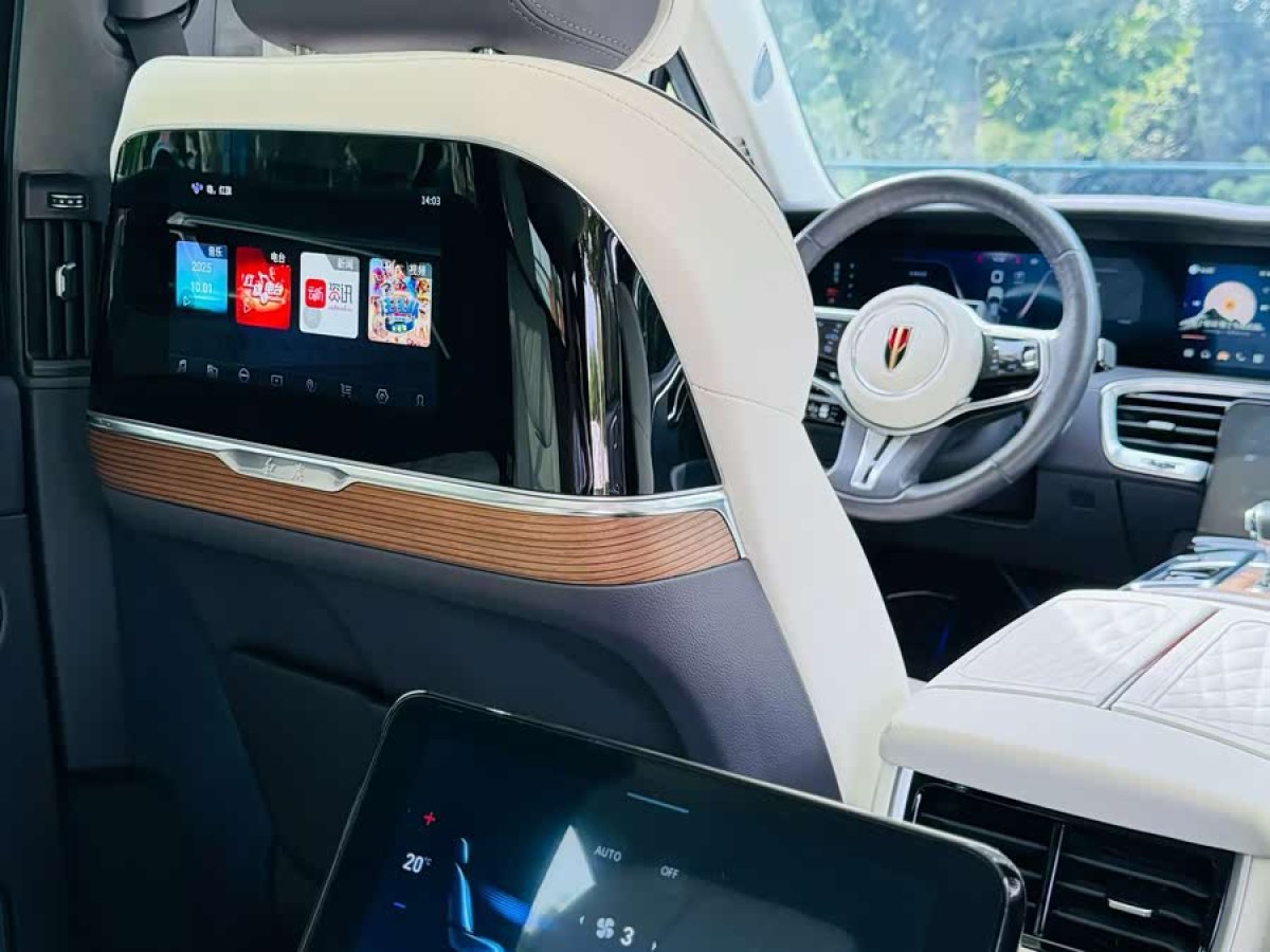 HongQi E-HS9 2020 immagine di auto #7