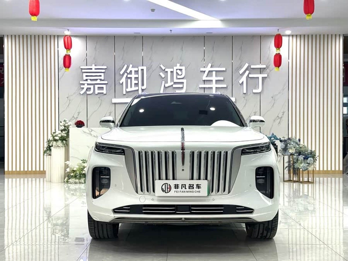 HongQi E-HS9 2021 #7 HongQi E-HS9 2021 immagine di auto #7