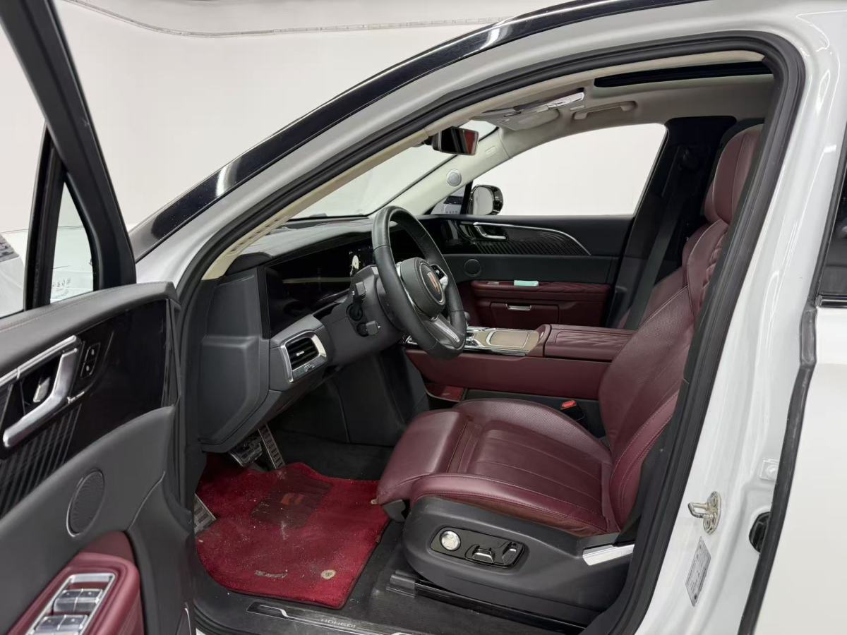HongQi E-HS9 2022 #7 HongQi E-HS9 2022 car image #7