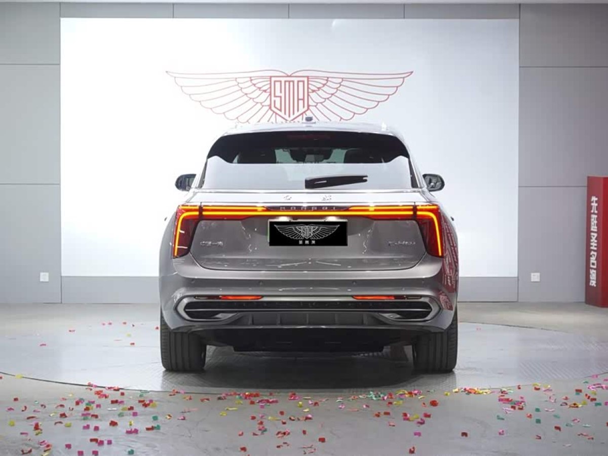 HongQi E-HS9 2023 car image #7